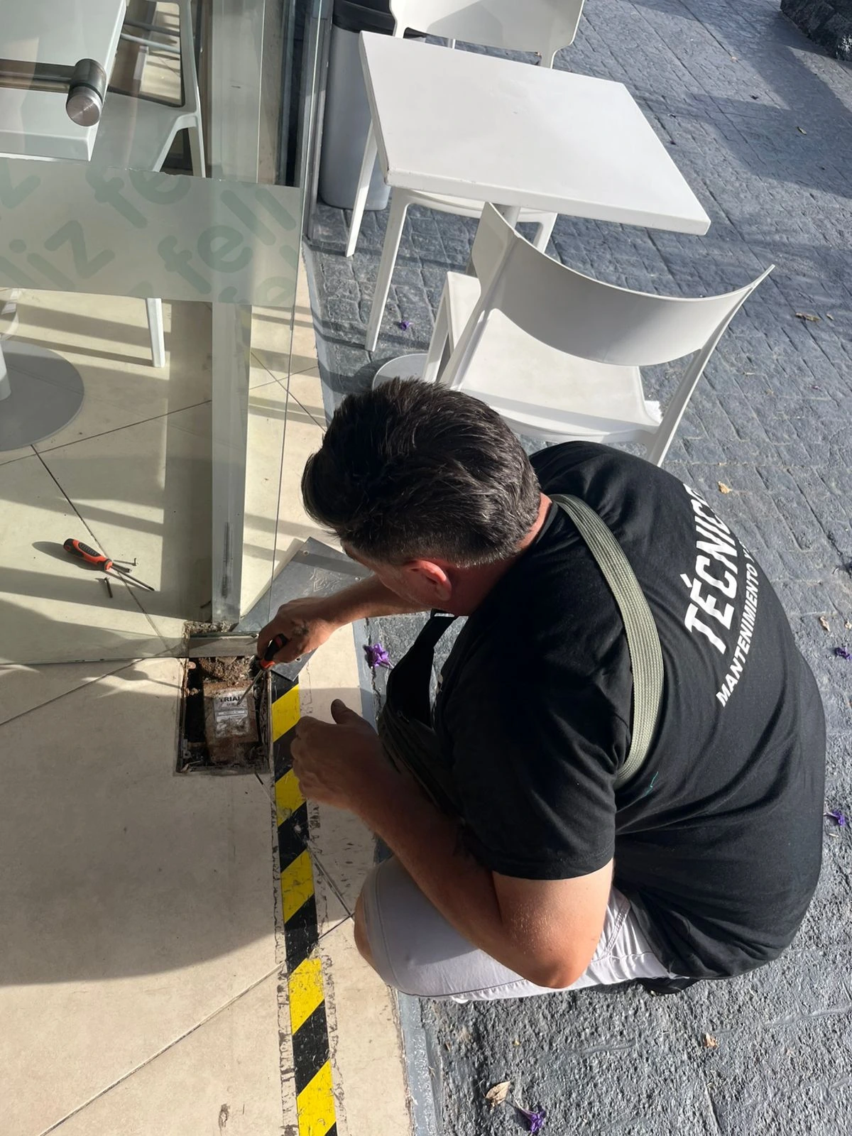 Regulación de Frenos